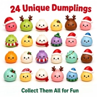 Nouveau Calendrier de l'Avent de Noël : Boîte Mystère 24 Pièces – Ensemble de Jouets Squishy Fidget en Forme de Dumpling – Compte à Rebours Surprise – Cadeau de Fêtes
