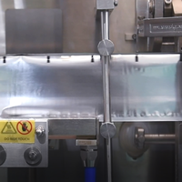 ACEPACK S-180 machine automatique de remplissage et de scellement de sachets à 3 côtés pour l'emballage de sachets plats liquides en poudre de granules