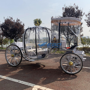 Wedding Horse Carriage <b>White</b> Pumpkin Carriage with Customizable LED Lamp Smart Lighting System and Rain Curtain - Product Image 4