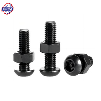 M2 M2.5 M3 M4 M6 M10 Vis Torx à six pans creux en acier inoxydable Noir zingué Grande vis à tête plate Métrique