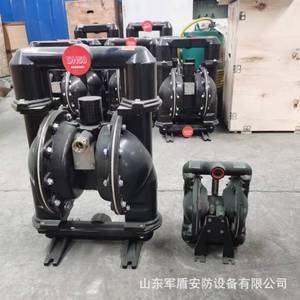Pompe à diaphragme pneumatique Bqg350 0.2 avec raccord à bride DN50 pour le drainage des mines - Product Image 4
