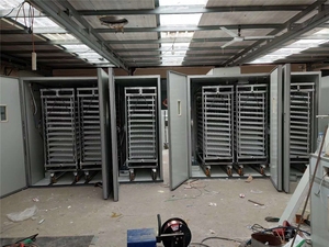 Máy Ấp Trứng 25000 Công Suất Máy Ấp Trứng Ấp Trứng 1232 Trứng Để Bán Tại Zimbabwe - Product Image 3