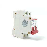 Disjoncteur miniature 2P 63A en gros, courbe C, protection contre les surcharges et les courts-circuits