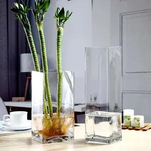 Modern Square Glass Vase Rich Bamboo Flower Arrangement Hydroponic Home Decoration Vase Transparent Vase