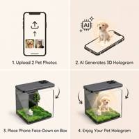 Scatola commemorativa digitale olografica quadrata moderna in acrilico all'ingrosso per animali domestici, proiezione olografica 3D personalizzata per cani, gatti e altri animali domestici