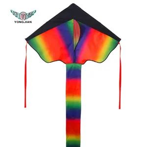 China Manufacture child easy flying promotional rainbow delta kite