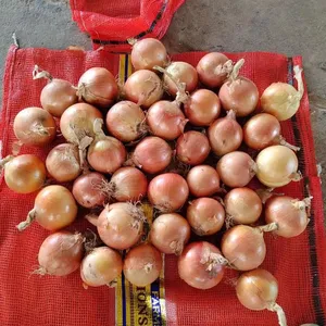 Sinofarm marka taze kırmızı soğan yeni kırpma singapur sarı beyaz soğan alıcılar için çin'de Ton başına rekabetçi fiyat