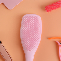 Brosse à Cheveux Démêlante à Manche ABS Personnalisable, de Haute Qualité, Antistatique et Massante