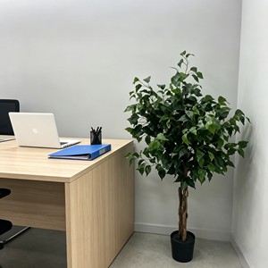 Plantes artificielles Ficus Pandurata - Directement de l'usine pour la décoration intérieure/extérieure - Product Image 6