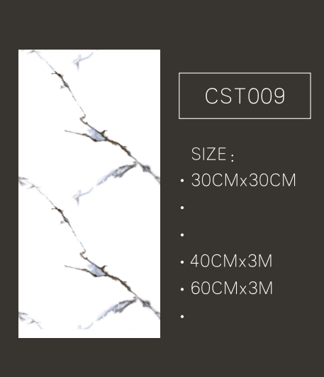CST009