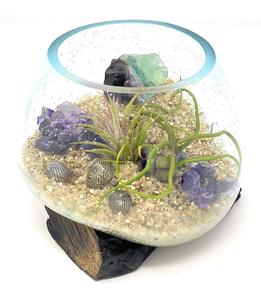 Creations Bocal en verre pour terrarium géométrique Accessoire scellé pour plantes artificielles et paysage pour pots de fleurs et jardinières - Product Image 1