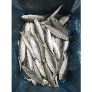 Alta calidad Original China Frozen Round Scad Whole Fish Nueva <span class=keywords><strong>temporada</strong></span> Exportado a precio barato para la venta - Product Image 5