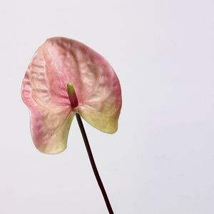 <span class=keywords><strong>Venta</strong></span> Directa <span class=keywords><strong>de</strong></span> Fábrica: Anthurium Artificial en Forma <span class=keywords><strong>de</strong></span> Corazón Impreso en 3D, Tacto Real, Planta <span class=keywords><strong>de</strong></span> Tallo Único, Palma Verde, Palma Rosa - Product Image 4
