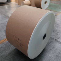 Papel Térmico en Rollo Jumbo de 50/55/58/65/70/80GSM, Papel para Copiar A4, Ecológico, 100% Pulpa de Madera Virgen, para Uso en Oficina