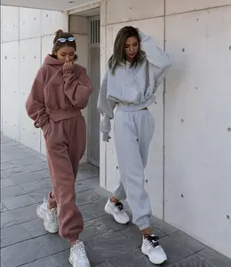 चीन कारख़ाना xxxxl Hoodies महिला ऊन हूडि के लिए उचित मूल्य के साथ सेट सर्दियों ऊन Tracksuit