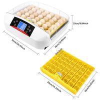 L'éclosion — incubateur automatique 42 œufs de poulet, machine pour l'éclosion des œufs, nouvel arrivage