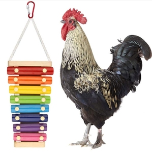 Oiseau Jouets Poulet Jouets Anneau Cloche <span class=keywords><strong>Piano</strong></span> 7 Tons Usine En Gros Perroquet Jouets Oiseau Fournitures - Product Image 1