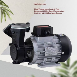 Bomba de engranajes AOTE-PUMP de hierro fundido AT-A para máquina de control de temperatura constante en moldes de alta y baja temperatura, 2.1 L/min - Product Image 2