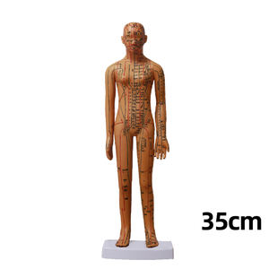 Modelo humano de punto de enseñanza de acupuntura - Product Image 2