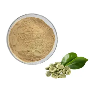 High Quality Green Coffee Bean Extract Powder 50% Chlorogenic Acids Powder Green Coffee Bean Extract