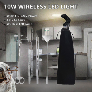 Source de lumière portable sans fil LED 10W en acier inoxydable pour endoscopes rigides ORL, vétérinaires et animaux, certifiée CE par Blush Surgical - Product Image 2
