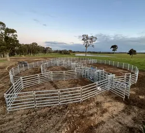Valla de ganado para ganado, fabricación de tubería galvanizada recubierta de zinc para ganado