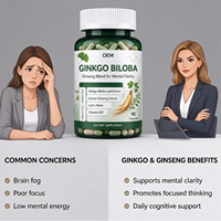 Capsules de Ginkgo Biloba OEM, 90 unités, avec Ginseng Coréen et Crinière de Lion, Complément Alimentaire