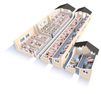 Le poulailler automatique portatif commercial loge la conception moderne de bâtiment de structure en acier pour la ferme avicole et la ferme