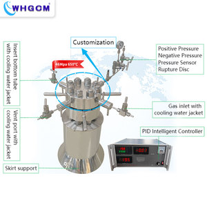 Reactor de Laboratorio de Alta Temperatura ASME CE EPR S316 1L con Control Inteligente PID a Prueba de Explosiones y Temperatura Precisa - Product Image 2