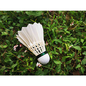 Anyball-lanzadera de bádminton 3 en 1 para todos los clientes, modelo más vendido de 333 - Product Image 4