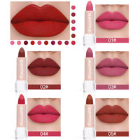 Best-seller : Rouge à lèvres mat tendance, haute pigmentation, non desséchant, waterproof, longue tenue, 15 couleurs assorties, portable, cadeau pour femme