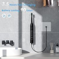 Brosse à dents électrique sonique rechargeable de type C intelligente pour adultes, blanchiment des dents, voyage, IPX7, 5 modes, usage domestique, vente en gros