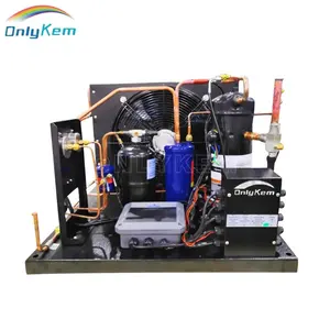 30HP Condensing Unit with Piston Compressor for Cold Room