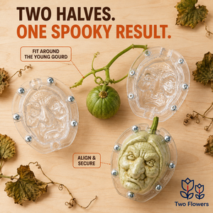 Stampo in plastica trasparente a due pezzi per la creazione di facce di strega di Halloween e per la modellatura di frutta, per progetti fai da te in giardino e decorazioni stagionali - Product Image 2