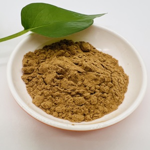 ผงสกัดจากเห็ดคอริอูลัส เวอร์ซิคัลเลอร์ (Turkey Tail) ที่ปลูกแบบธรรมชาติ โพลีแซ็กคาไรด์ 38% - Product Image 6