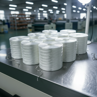 Fibre de verre à haute résistance à la traction 2400/4800 Tex Direct Roving pour profilés et produits en PRV extrudés