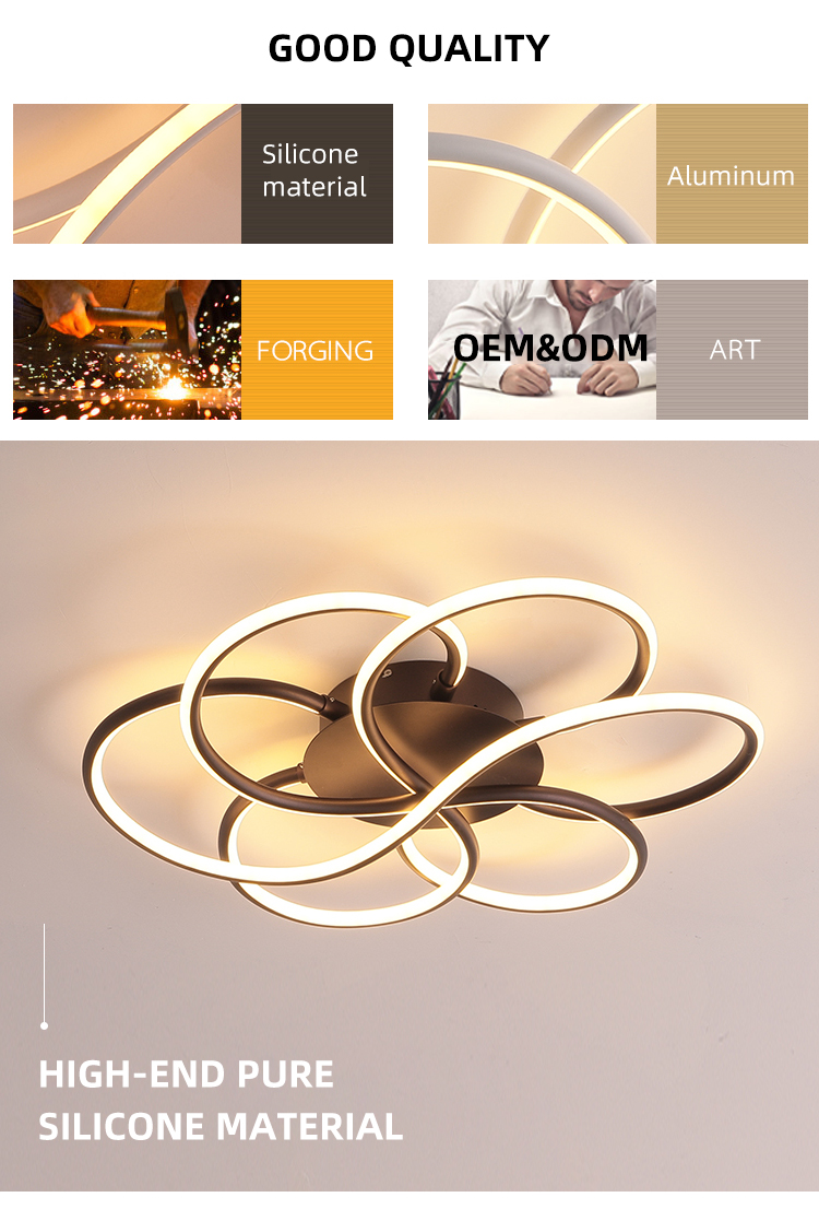 Fashion European Black White Dining Room Ceiling Flush Mount Bedroom Modern Led Ceilign Lamp