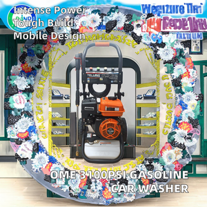 OME Portable <span class=keywords><strong>haute</strong></span> <span class=keywords><strong>pression</strong></span> 3100psi/213bar <span class=keywords><strong>pompe</strong></span> <span class=keywords><strong>axiale</strong></span> essence lave-auto pour usage professionnel domestique flambant neuf <span class=keywords><strong>haute</strong></span> <span class=keywords><strong>pression</strong></span> - Product Image 2