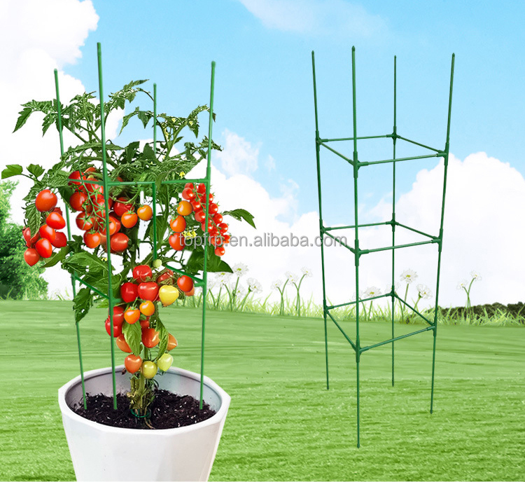 園芸植物支柱フレーム 正方形トマトケージ| Alibaba.com