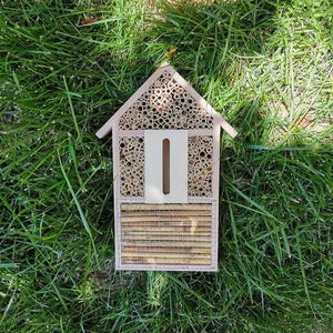 Casa para Insectos de Madera de Paulownia, Adorno Colgante para Jardín Exterior, Rectangular, Acabado Natural - Product Image 1