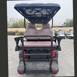 Mejores Precios Nuevo Carro de Golf Negro de 2 Plazas, Vehículo con Batería de Litio/Plomo-Ácido de 48V, 30-50Km/h, Certificado CE, de Acero, 2 Asientos, Eléctrico - Product Image 5
