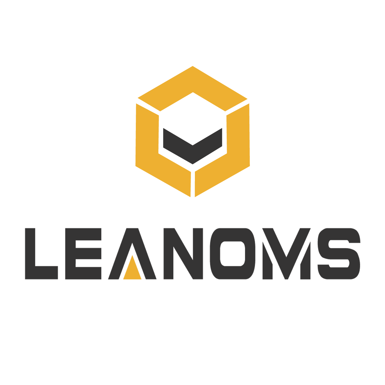 Xiamen Leanoms Science And Technology Co., LTD. logo
