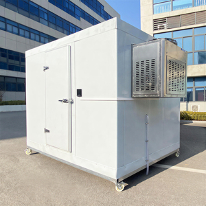 Инверторный моноблочный конденсаторный агрегат 2HP 3HP для контейнерных холодильных камер, морозильных камер, холодильных установок. Низкая цена, CE. - Product Image 1