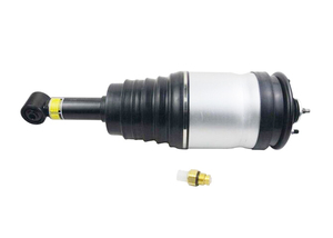 Bộ Giảm Xóc/Thanh Chống Khí Phía Sau Cho Land Rover LR3 LR4 & Range Rover Sport RPD501100/RPD501090 - Product Image 4