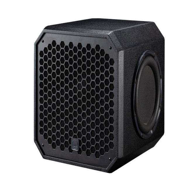 Professional 12-Inch Active DJ Speaker Outdoor Powered Subwoofer With Active Bass Receiver & Amplifier 300W Peak Power