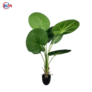 <span class=keywords><strong>Palmier</strong></span> artificiel <span class=keywords><strong>Licuala</strong></span> Plante en faux bonsaï <span class=keywords><strong>Palmier</strong></span> artificiel en pot Plante artificielle pour décoration d'intérieur - Product Image 3