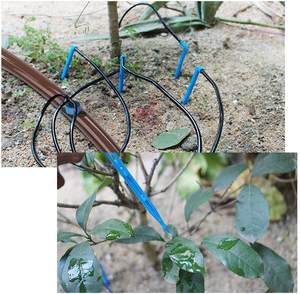 Système d'irrigation goutte à goutte, <span class=keywords><strong>goutteur</strong></span> en forme de flèche <span class=keywords><strong>araignée</strong></span> - Product Image 5
