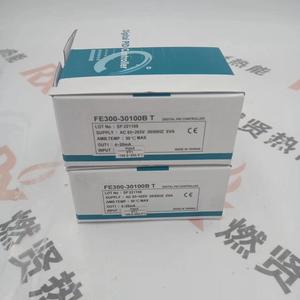 Controlador de Combustión FE300-30100B F300-101000-15D FE300 para TAIE STOCK 1000 - Product Image 5
