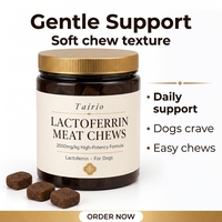 Friandises à mâcher immunitaires au lactoferrine pour chiens, saveur viande, défense quotidienne, races petites, formule naturelle, soutien antioxydant premium, vente en gros