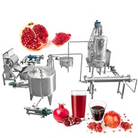 Industriële Automatische Professionele Granaatappel Aril Separator Schroef Pers Juicer Machine Granaatappelsap Productielijn